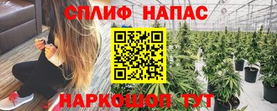 сатива Рязань