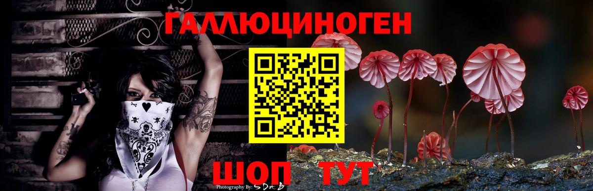 Галлюциногенные грибы ЛСД  Вход с VPN  Новозыбков  Галлюциногенные грибы Psilocybine cubensis 