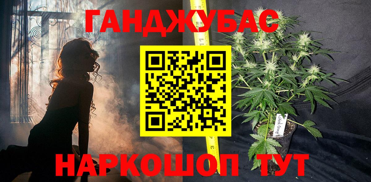 Новозыбков  Каннабис индика  Каннабис семена  Вход с VPN  Марихуана семена 