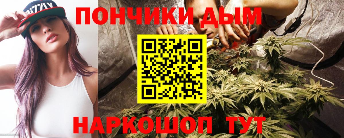 Бошки марихуана Ganja Новозыбков